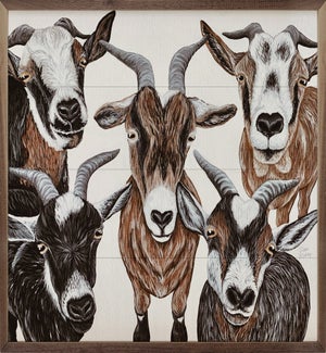 Five Goats By Robin Sue Studio
